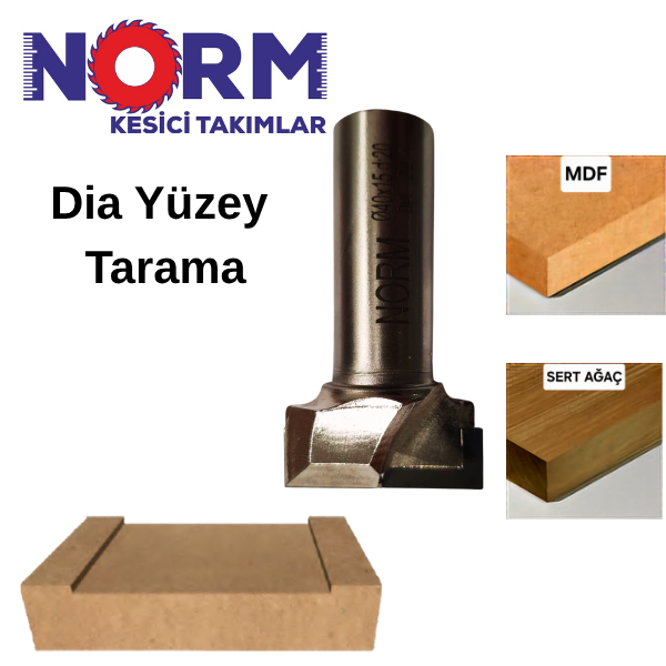 Ø40X12 DİA YÜZEY TARAMA FREZE BIÇAĞI